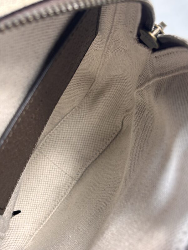 Gucci Ophidia Web Sling Bag - Image 10