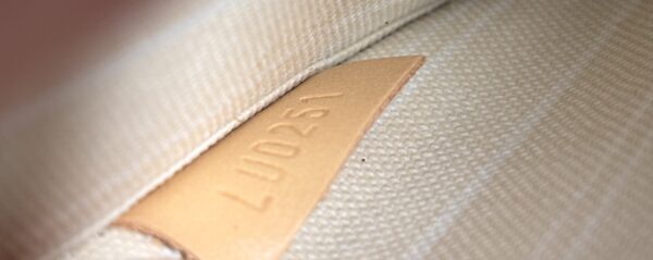 Louis Vuitton By the Pool Neverfull Pochette - Image 9