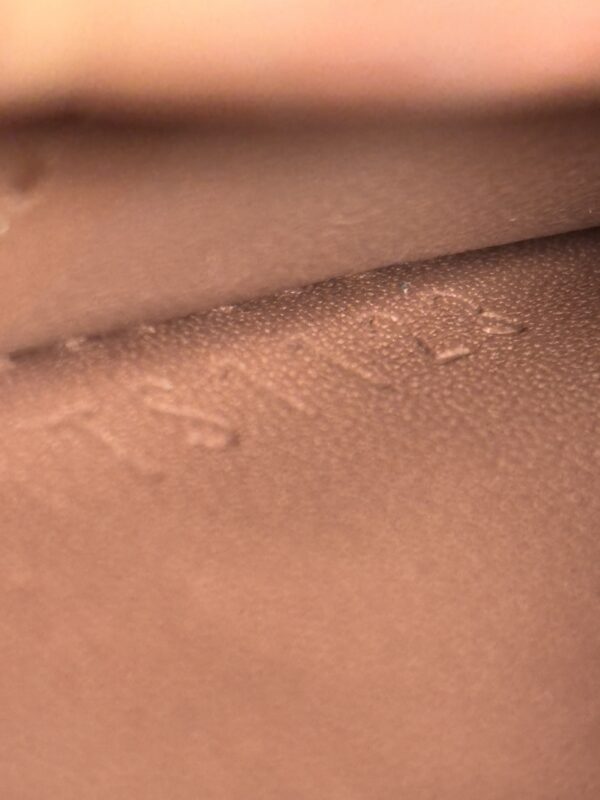 Louis Vuitton Zippy Coin Vernis - Image 9
