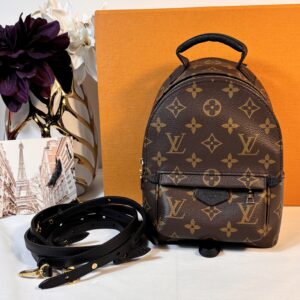 Louis Vuitton Palm Springs Mini Monogram