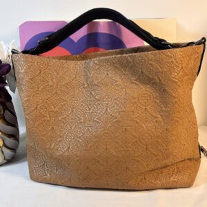 Louis Vuitton Antheia Hobo Bag