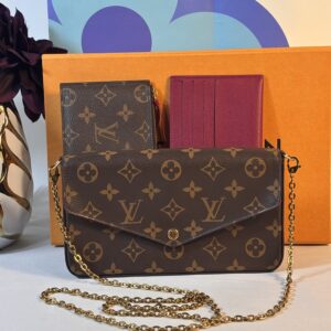 Louis Vuitton Felicie Pochette Monogram