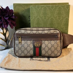 Gucci Ophidia Belt Bag